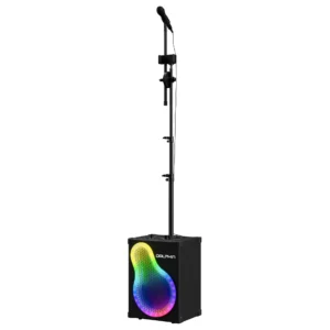 dolphin karaoke box sp 500